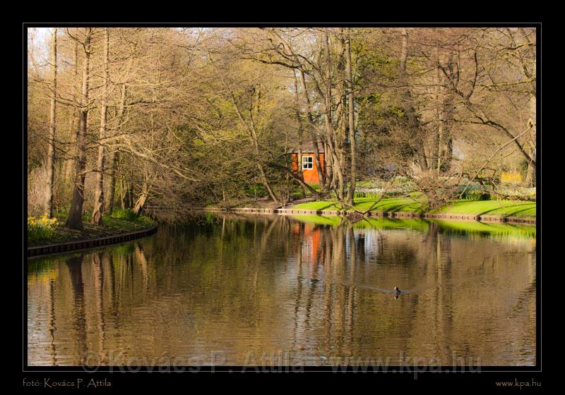 Keukenhof Hollandia 080.jpg